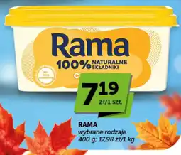 Groszek Rama wybrane rodzaje oferta