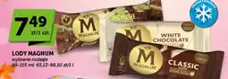 Groszek Lody Magnum oferta