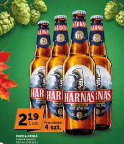 Groszek Piwo Harnaś oferta