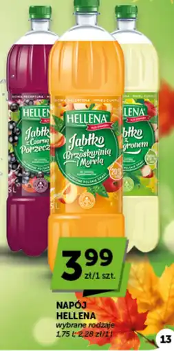 Groszek Napój Hellena oferta