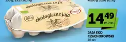 Groszek Jaja Eko Czachorowski oferta