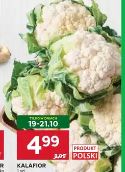 Stokrotka Kalafior oferta