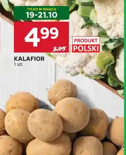 Stokrotka Kalafior oferta