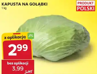 Stokrotka Kapusta na Gołąbki oferta