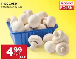 Stokrotka Pieczarki oferta
