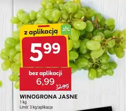 Stokrotka WINOGRONA JASNE oferta