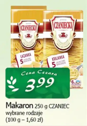 Makaron CZANIEC