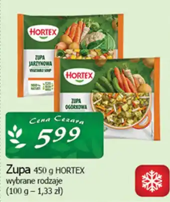 Zupa HORETEX