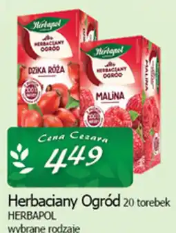 Cezar Delikatesy Herbaciany Ogród wybrane rodzaje oferta