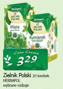 Cezar Delikatesy Zielnik Polski HERBAPOL oferta