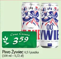 Cezar Delikatesy Piwo Żywiec oferta