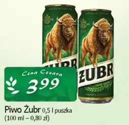Cezar Delikatesy Piwo Żubr oferta