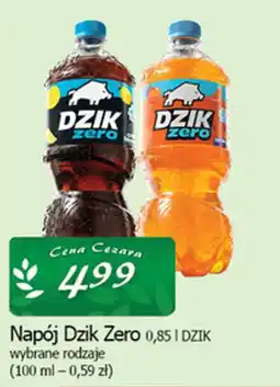 Cezar Delikatesy Napój Dzik Zero oferta