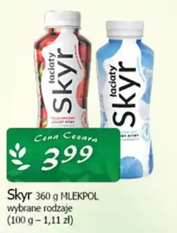 Cezar Delikatesy Skyr oferta