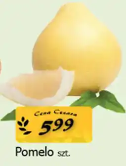 Cezar Delikatesy Pomelo oferta