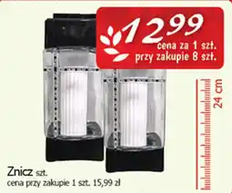 Cezar Delikatesy Znicz oferta