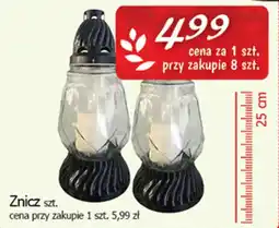 Cezar Delikatesy Znicz oferta