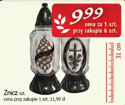Cezar Delikatesy Znicz oferta