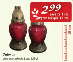 Cezar Delikatesy Znicz oferta