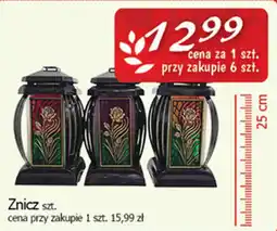 Cezar Delikatesy Znicz oferta