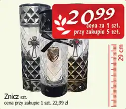 Cezar Delikatesy Znicz oferta