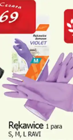 Cezar Delikatesy Rękawice RAVI oferta