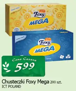 Cezar Delikatesy Chusteczki Foxy Mega oferta