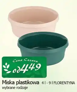 Cezar Delikatesy Miska plastikowa 41-91 FLORENTYNA oferta