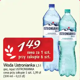 Cezar Delikatesy Woda Ustronianka oferta