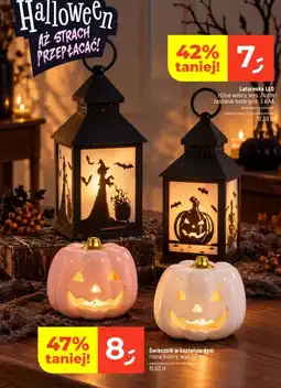 Dealz Latarenka LED oferta