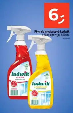 Dealz Płyn do mycia szyb Ludwik oferta