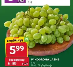 Stokrotka Winogrona jasne oferta