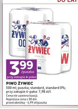 Stokrotka Piwo Żywiec standard oferta