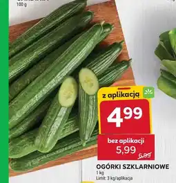Stokrotka Ogórki szklarniowe oferta
