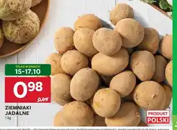 Stokrotka Ziemniaki jadalne oferta