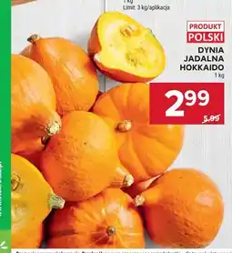 Stokrotka Dynia jadalna Hokkaido oferta