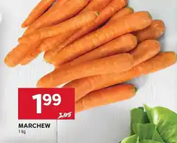 Stokrotka Marchew oferta