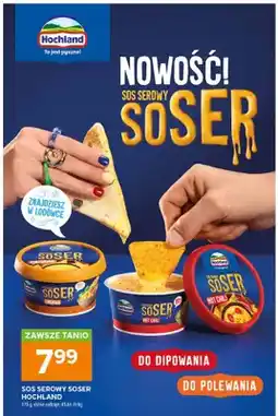 Stokrotka Sos serowy Soser Cheddar Hochland oferta