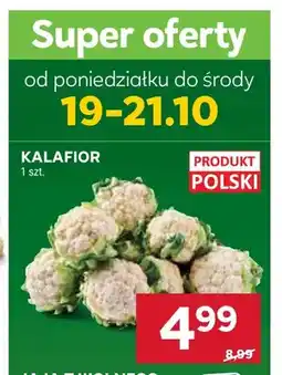 Stokrotka Kalafior oferta