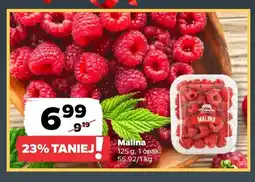 Netto Malina oferta