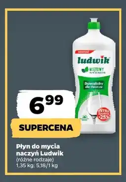Netto Płyn do mycia naczyń Ludwik oferta