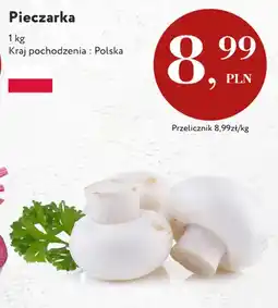 Market Point Pieczarki polskie oferta