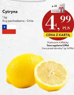 Market Point Cytryny oferta