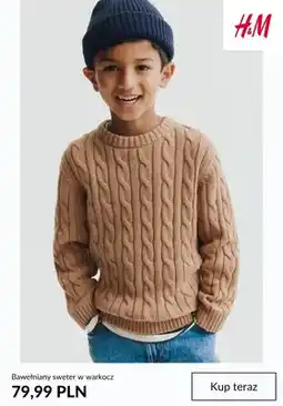 H&M Bawełniany sweter w warkocz H & M oferta