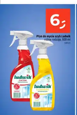 Dealz Płyn do mycia szyb Ludwik oferta