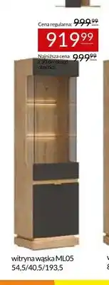 Abra Witryna wąska ML05 Milton oferta