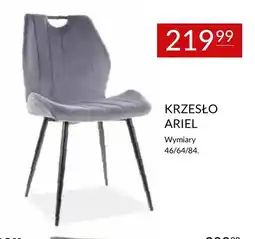 Abra Krzesło Ariel oferta
