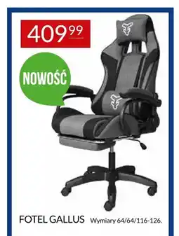 Abra Fotel Gallus oferta