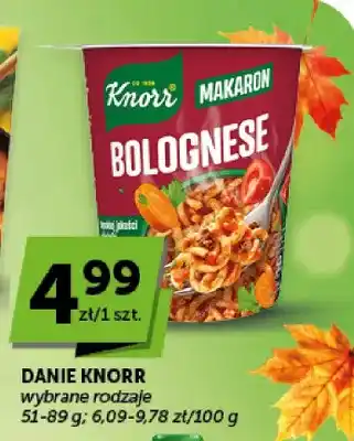 Danie Knorr