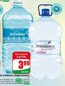 Dino Woda źródlana niegazowana Ustronianka oferta